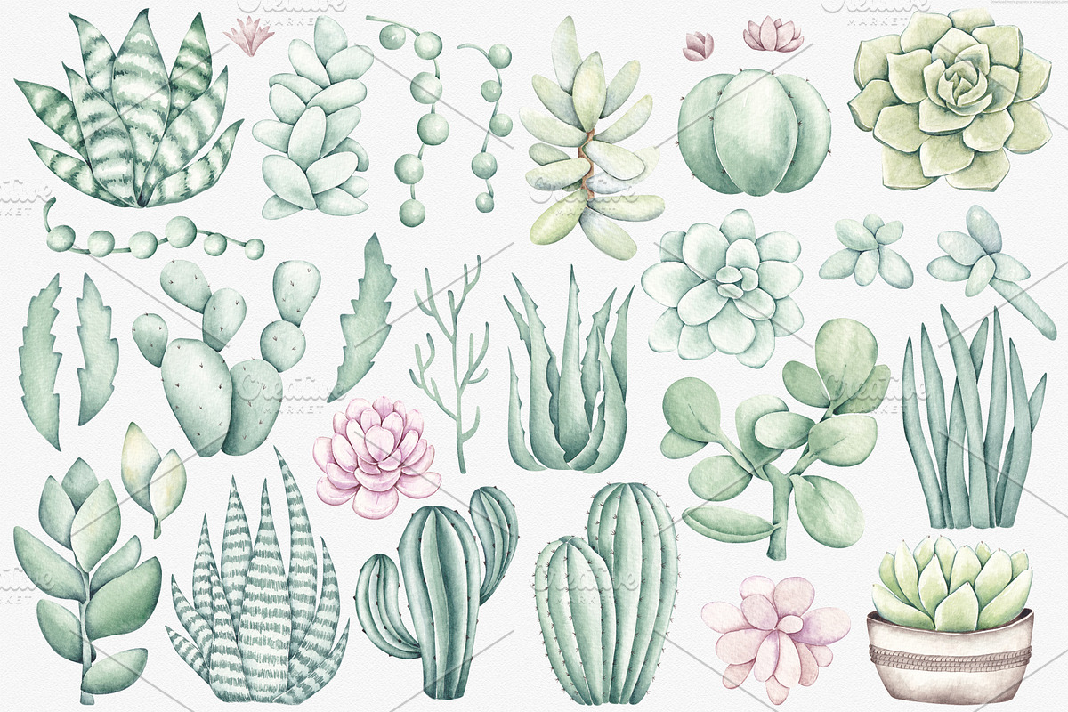 Watercolor ClipArt Green Plants, an Illustration by SirenaArt (Photo 2 of 20)