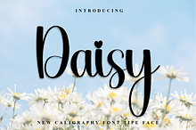Daisy