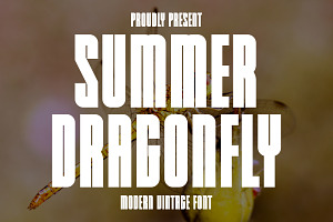 Summer Dragonfly - Modern Vintage