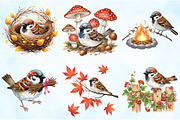 Autumn Sparrows Bird Clipart Bundle, an Illustration by Craft Nest (Thumbnail 6 of 6)