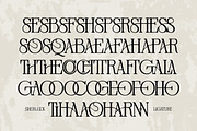 Distressed Sherlock – Elegant Serif, a Serif Font by Mahesans Co (Thumbnail 8 of 10)
