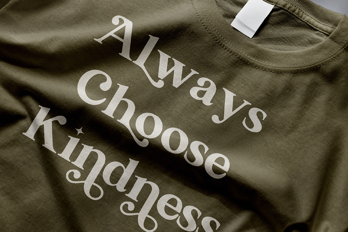 The Modern Serif Font Bundle, a Serif Font by Prestige Artsy Studio (Photo 7 of 10)