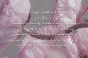 Lapierro Script, a Script Font by GlottaTypeface (Thumbnail 3 of 8)