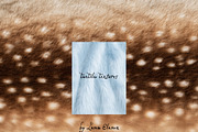 Tactile Textures: Deer, Plaid, Paper, a Texture Graphic by Lana Elanor (Thumbnail 4 of 12)