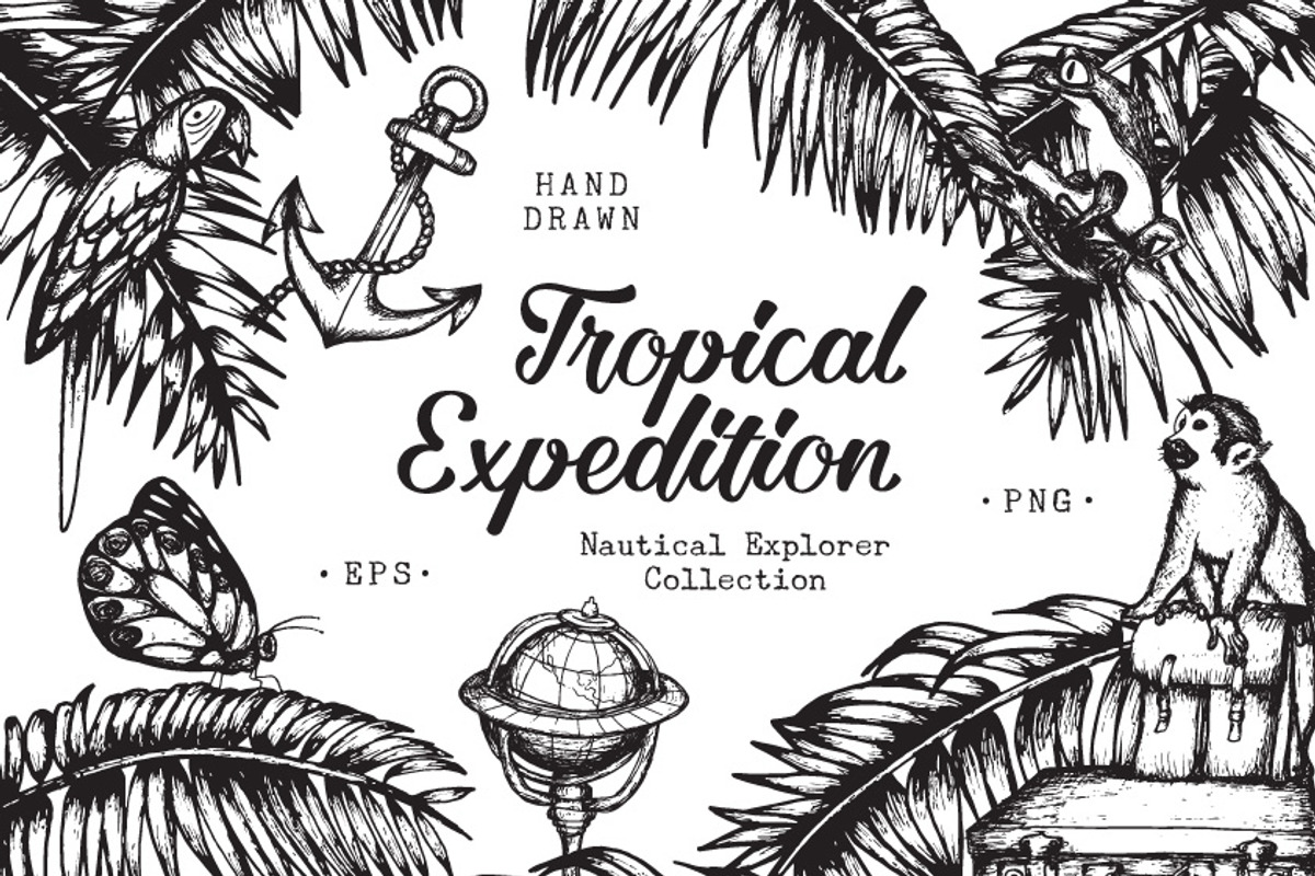 Tropical Expedition Collection, an Animal Illustration by Go Rogue (Photo 1 of 3)