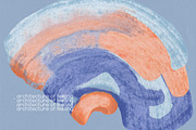 GENTLE STROKES Abstract Elements, an Object Graphic by angelainthefields (Thumbnail 5 of 10)