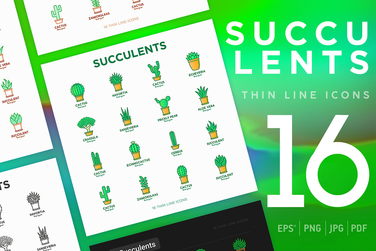 Succulents | 16 Thin Line Icons, an Outline Icon by Alex Blogoodf (Photo 1 of 9)
