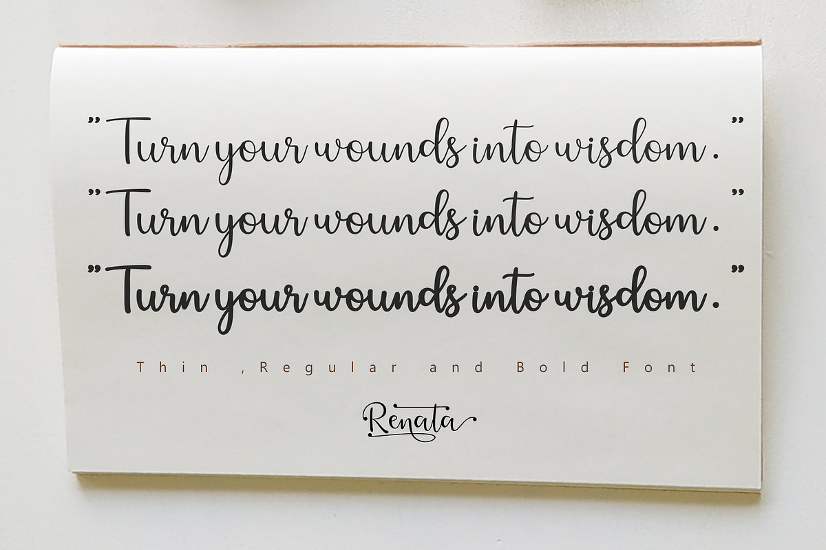 Renata, a Script Font by Sulthan Studio (Photo 8 of 9)