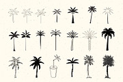 50 Palm Tree Vector Logos & Icons, an Outline Icon by Tropical Type (Thumbnail 2 of 7)