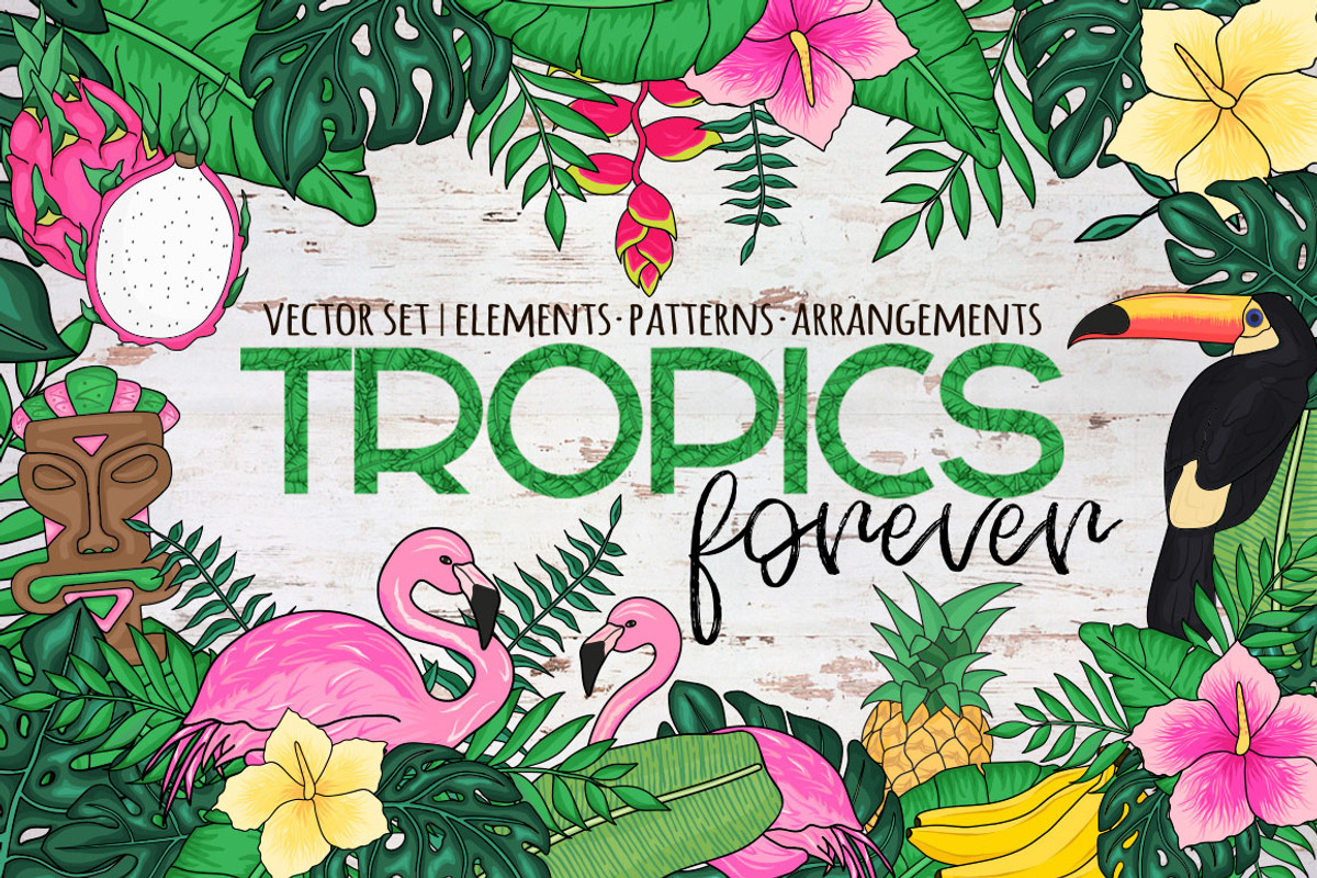Tropics Forever! Vector set, an Animal Illustration by CallMeStasia (Photo 1 of 7)