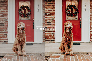 10 XMAS HOLIDAY LIGHTROOM PRESETS