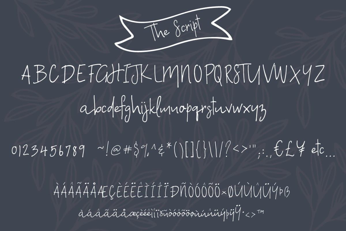 A Bientot | Font Duo with Bonus Logo preview 3