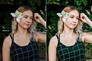 Sustainable Pro Lightroom Presets