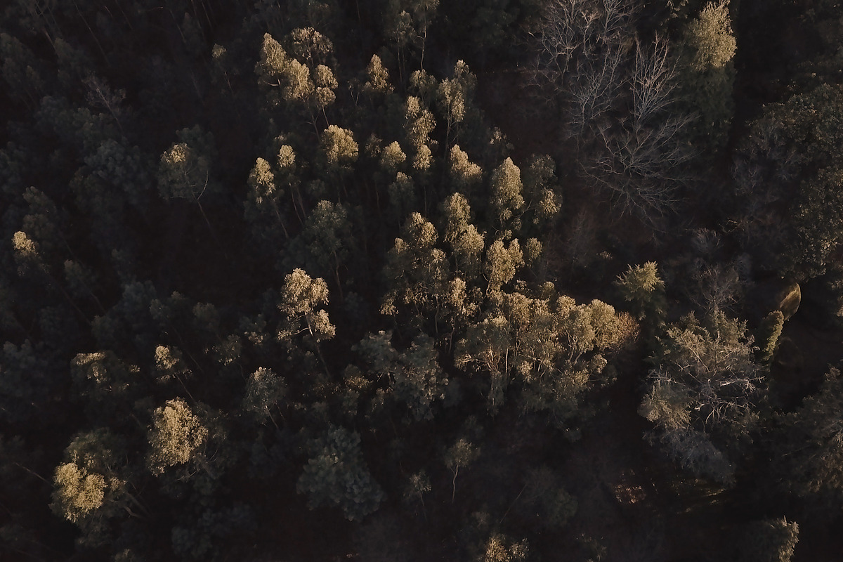 Compass LUTs preview 3