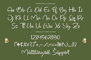 Bagtrich - Handwritten Font