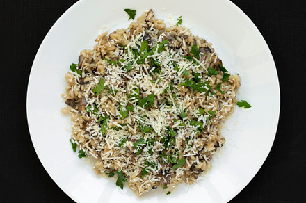 Homemade mushroom risotto on a white plate over black background, a Food & Drink Photo by LiudmylaChuhunova