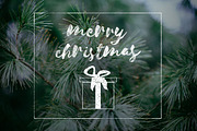 Vintage Christmas Photo Overlays, a Templates & Theme by Aloha Philly (Thumbnail 8 of 17)