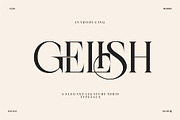 GELISH Elegant Ligature Serif, a Serif Font by Alfinart (Thumbnail 8 of 10)