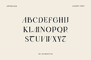 Monumental Modern Display Serif Font, a Serif Font by UICreative (Thumbnail 4 of 13)
