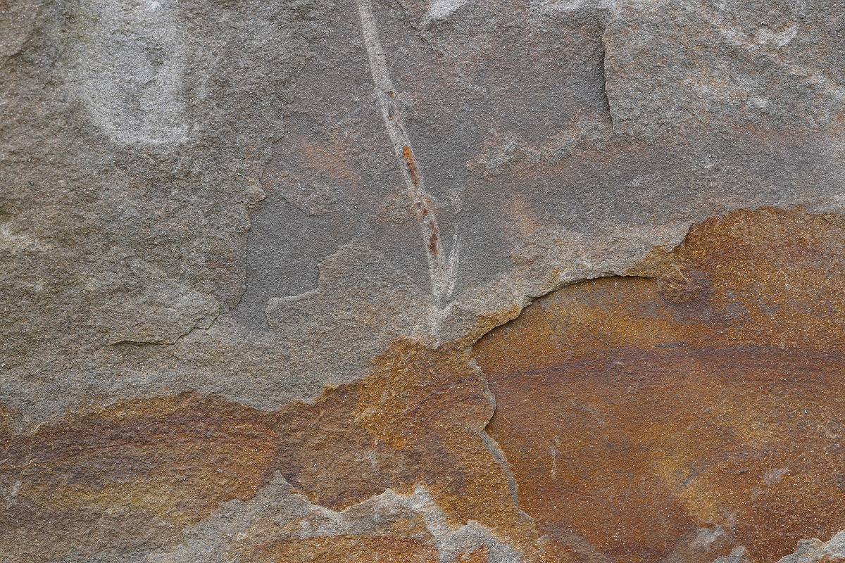 60 Textured Stone Photos for Texture, a Texture Graphic by Bilgep_design (Photo 5 of 20)