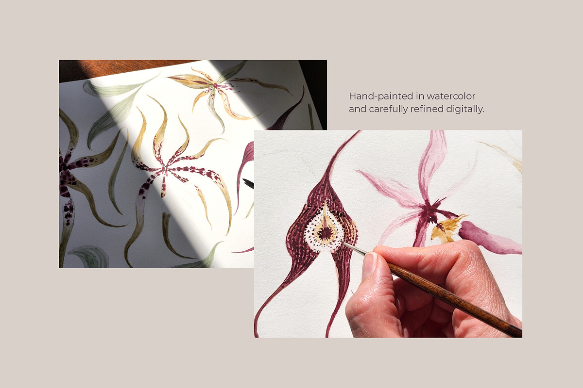 Orchid Herbarium Pattern Collection, a Pattern Graphic by SurfaceStories (Photo 8 of 12)