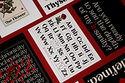 MAJOR ARCANA - Display Variable Type, a Serif Font by Artflorara (Thumbnail 7 of 21)