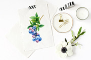 Blueberry, botanical illustration, a Food Illustration by Hanna Hryharenka (Thumbnail 6 of 9)
