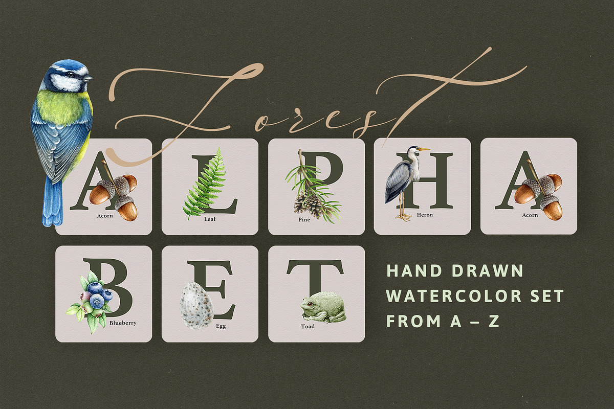 Forest Alphabet Watercolor Clipart, an Education Illustration by AnitaPol (Photo 1 of 12)