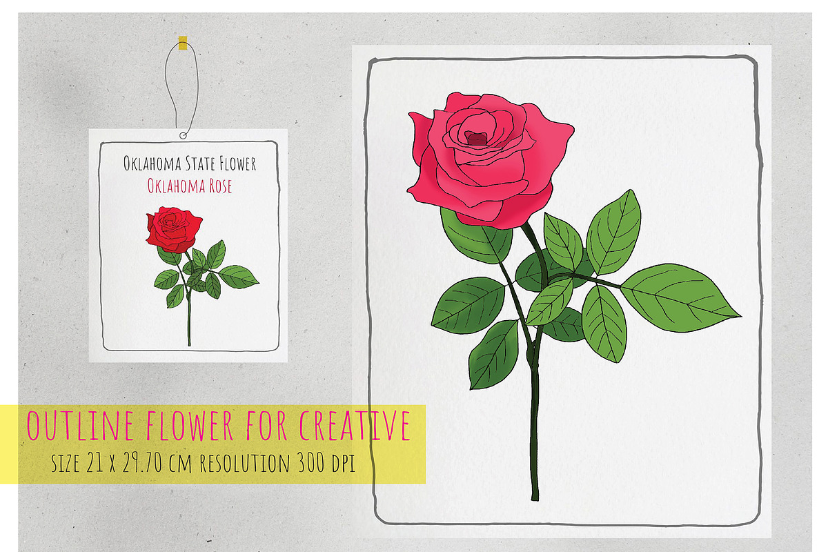 50 State Flowers for Coloring books, a Graphic by Hanatist Studio (Photo 6 of 8)