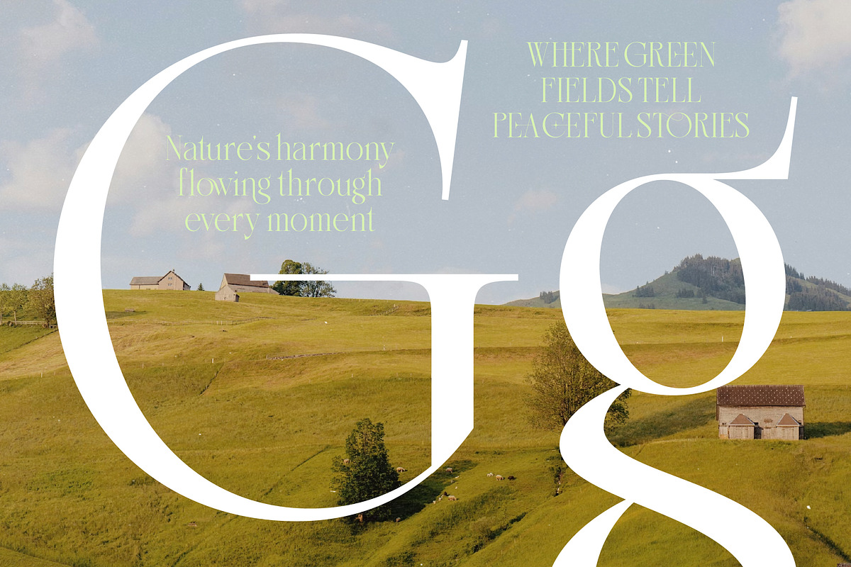 Makcasa Modern Serif Display Font, a Serif Font by timelesstype.co (Photo 12 of 15)