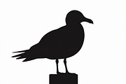 Bird Silhouette design bundle, an Illustration by BIPLOB EXPERT (Thumbnail 10 of 13)