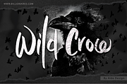 Wild Crow - Playful Handmade Font, a Script Font by Aldedesign (Thumbnail 1 of 9)