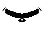 50 Flying Eagle Silhouette Vector Bu, an Illustration by Designs_River (Thumbnail 9 of 51)