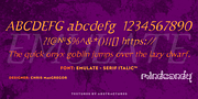 Emulate Serif™, a Serif Font by MINDCANDY (Thumbnail 2 of 4)