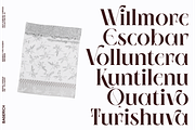NEIMA, a Serif Font by Bagerich Type Foundry (Thumbnail 14 of 15)