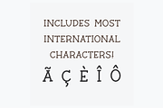 BARN ACRE Farmhouse Serif Font, a Serif Font by Blush Font Co. (Thumbnail 7 of 7)