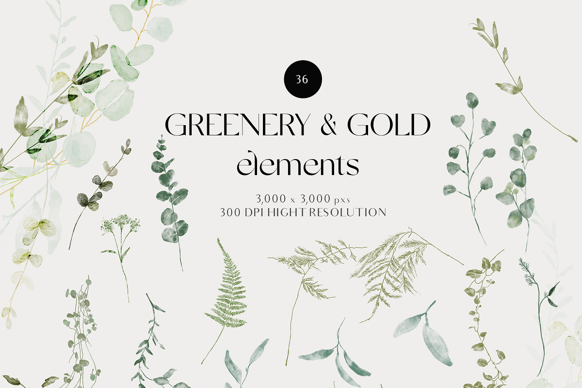GREEN FOLIAGE - greenery & gold set, a Decorative Illustration by Grace Noboa Illustrations (Photo 7 of 10)