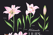 Pink lilies watercolor clipart set, an Illustration by OlDm_Shop (Thumbnail 3 of 10)