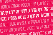Brooklyn Syndrome - Modern Display, a Font by Krakenbox Studio (Thumbnail 7 of 12)