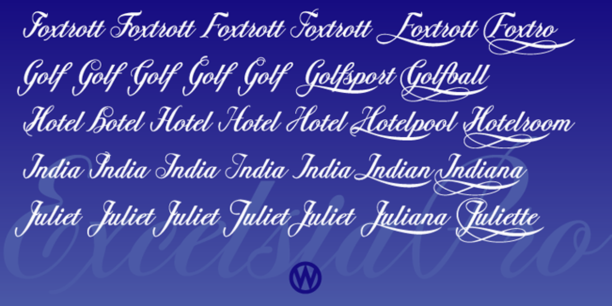 Excelsia Pro, a Script Font by Wiescher-Design (Photo 7 of 11)