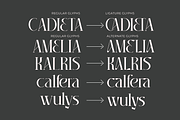 Chadenia, a Serif Font by Muksal Creative (Thumbnail 6 of 9)