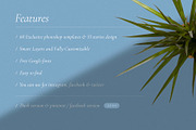 Violin Social Media Kit, a Social Media Template by Amirzhanuly (Thumbnail 3 of 16)