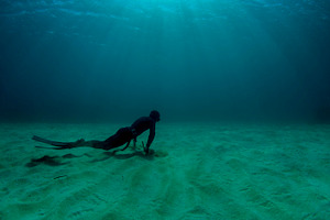 Apnea diver featuring apnea, apnea diver, and diving