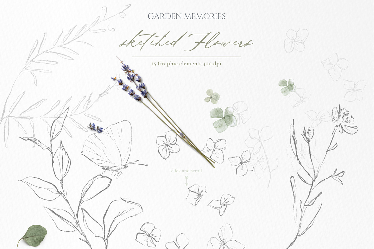 pressed floral watercolor collection, an Illustration by beehouse studio (Photo 4 of 9)