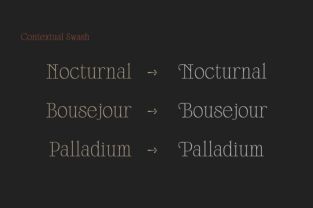 Scottsdale Serif preview 4