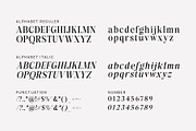 Back Bone Melavita Serif Family font, a Serif Font by Graphicxell (Thumbnail 17 of 18)