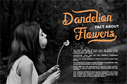 Mellifret script font, a Script Font by Java pep (Thumbnail 6 of 11)