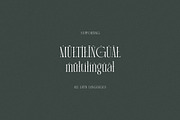 Martin Langley Elegant Serif, a Serif Font by Cruzine (Thumbnail 8 of 8)