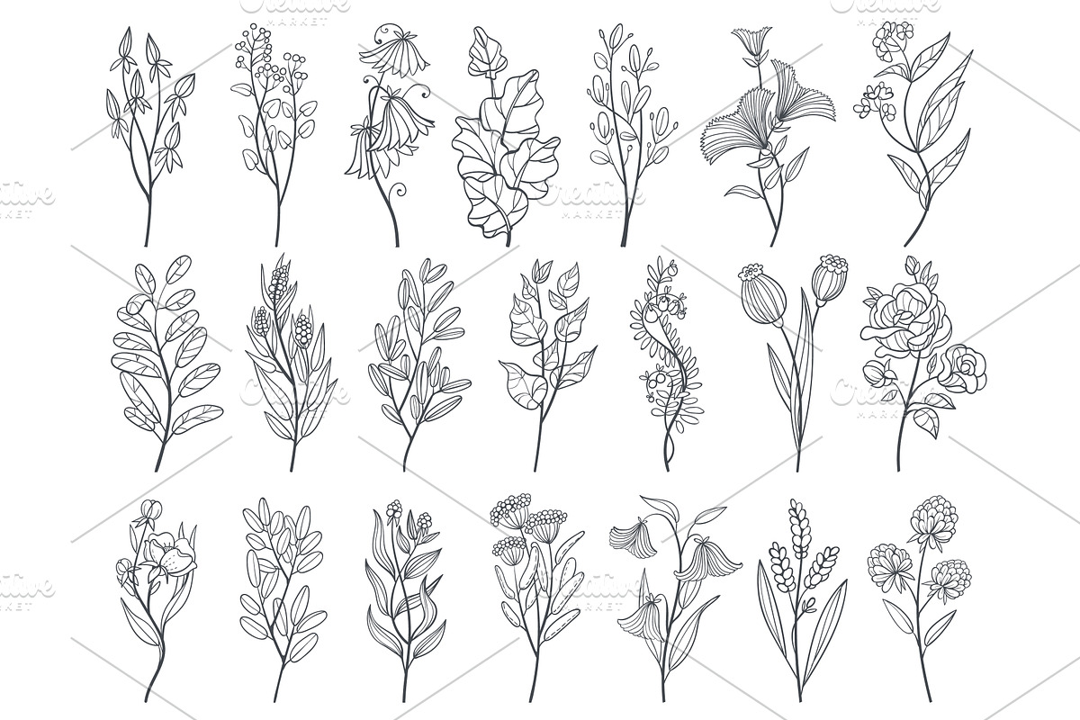 Linear floral branches. Decorative, an Object Illustration by YummyBuum