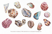Melasti. Seamless pattern, a Pattern Graphic by emeraldthue (Thumbnail 7 of 7)